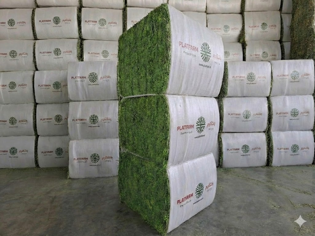 Double Press Alfalfa - 425 KG Bales - Image 1